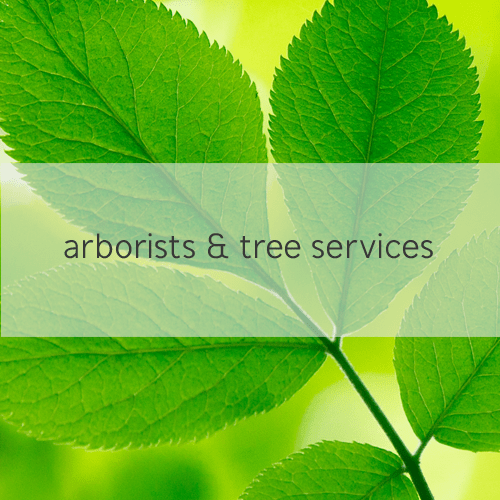 arborists & tree services