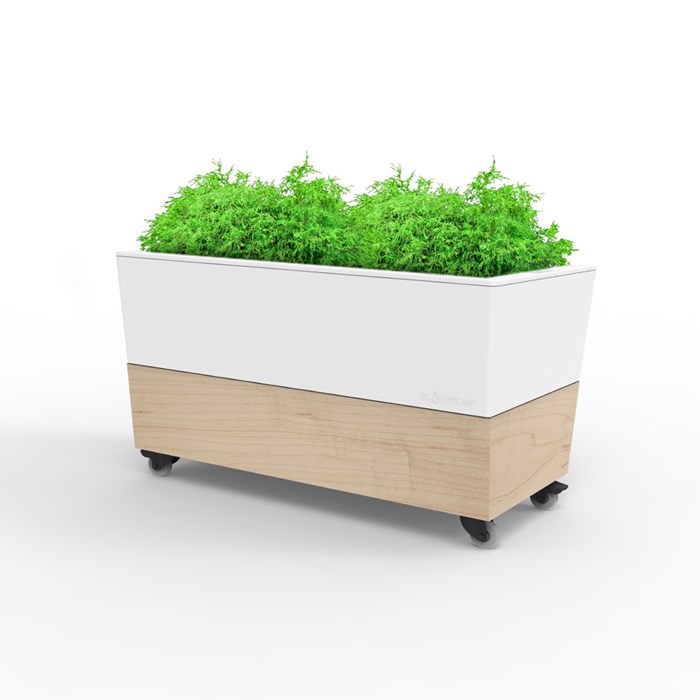 Picture of Glowpear Single Café Planter