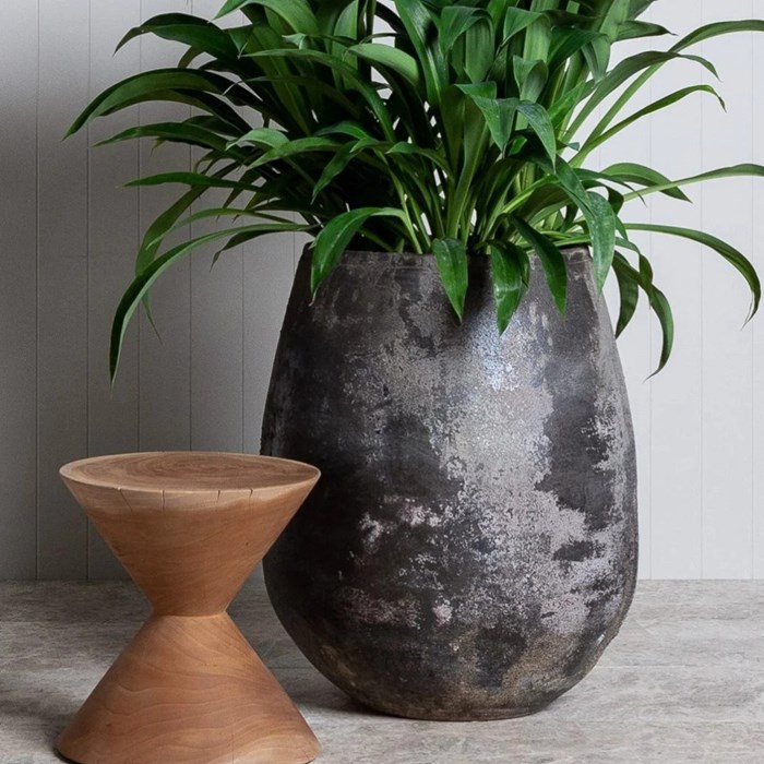 Picture of Woodfired Tulip Pot