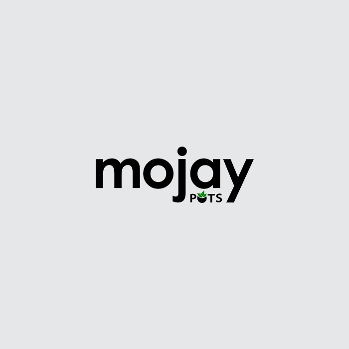 Picture for brand Mojay Pots